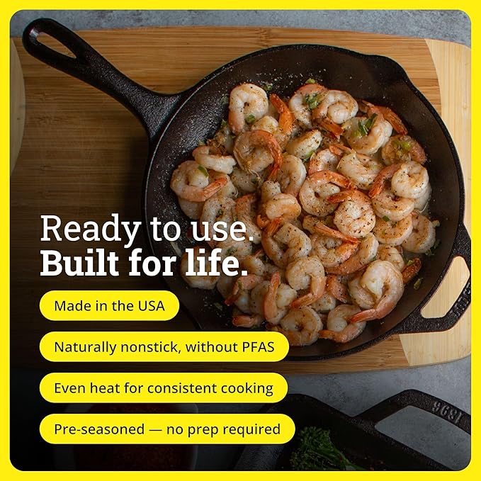 10 inch seasoned cast iron skillet